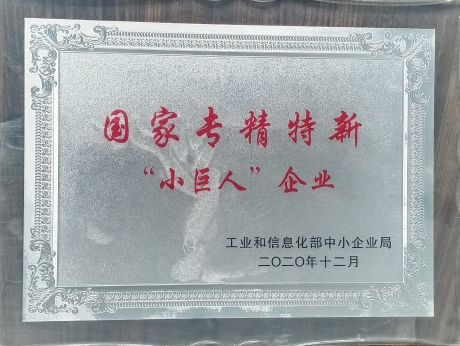 國家專(zhuān)精特精“小巨人”企業(yè)